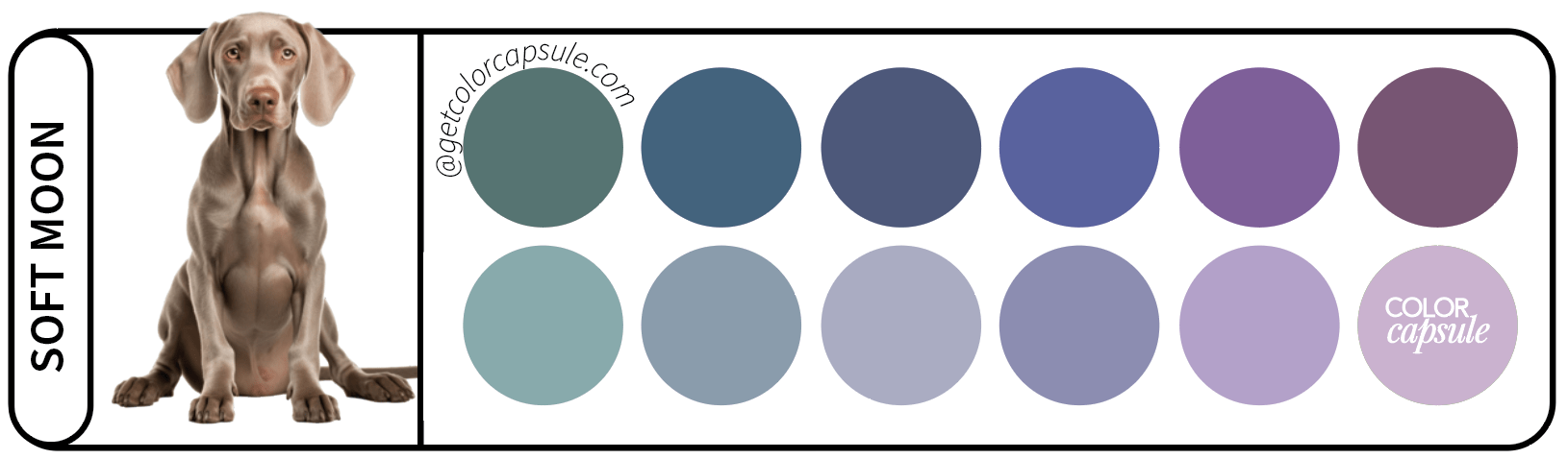 Soft Moon Dog Color Palette